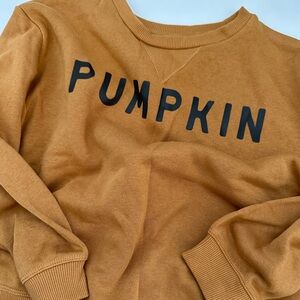 Toddler Pumpkin Sweatshirt